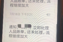 武汉要账公司更多成功案例详情